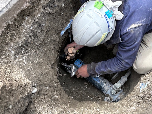 �ĒÎs �g�l�@ �V�z���r��(�����H��)