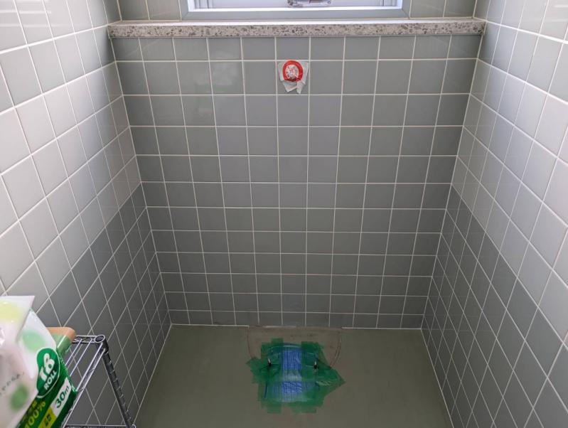 ���C���摜