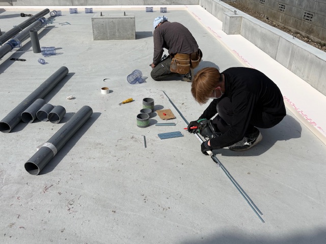 ���C���摜