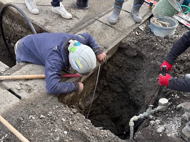 �ĒÎs �g�l�@ �V�z���r��(�����H��)