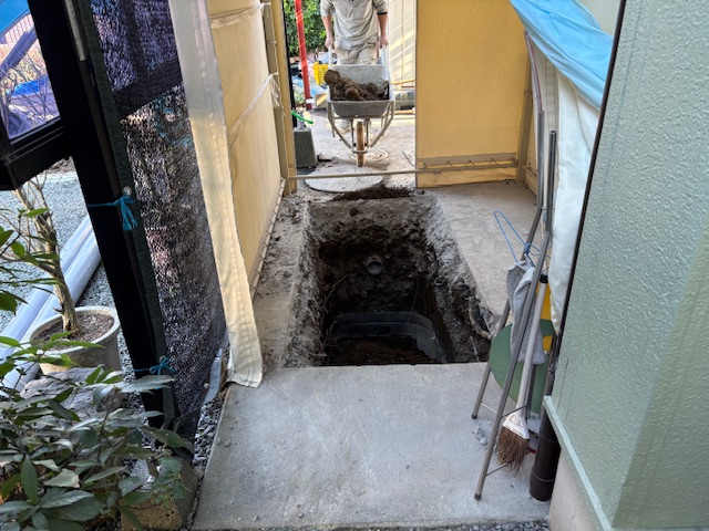 �P�Ƒ��P�������ߖ߂�