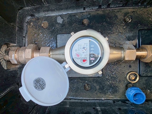 ���C���摜