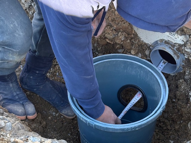 ���C���摜