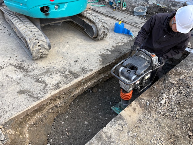 �ĒÎs �g�l�@ �V�z���r��(�����H��)