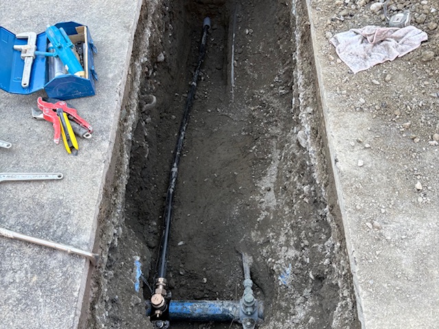 �ĒÎs �g�l�@ �V�z���r��(�����H��)