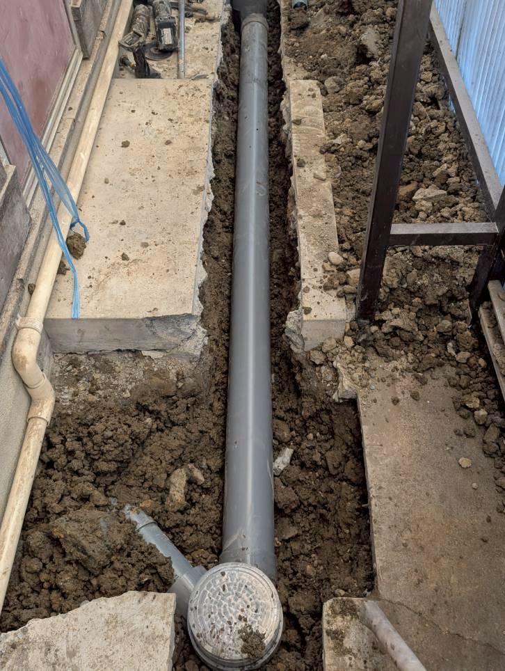 ���C���摜