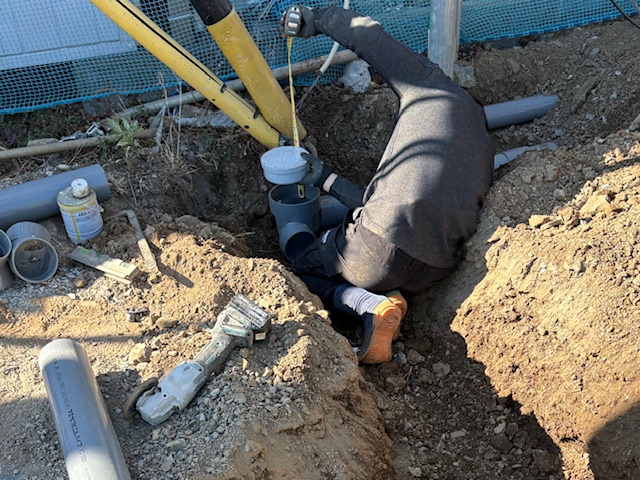 �ĒÎs �s�l�@ �V�z���r��(���O�z��)