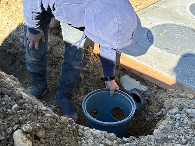 ���C���摜