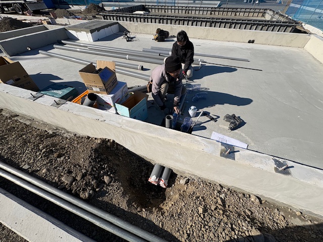 ���C���摜