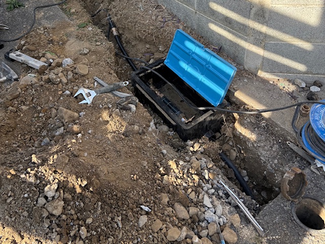 ���C���摜