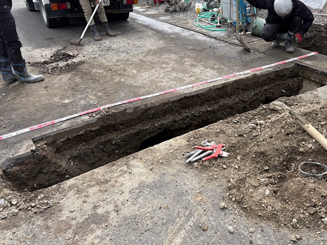 �ĒÎs �g�l�@ �V�z���r��(�����H��)