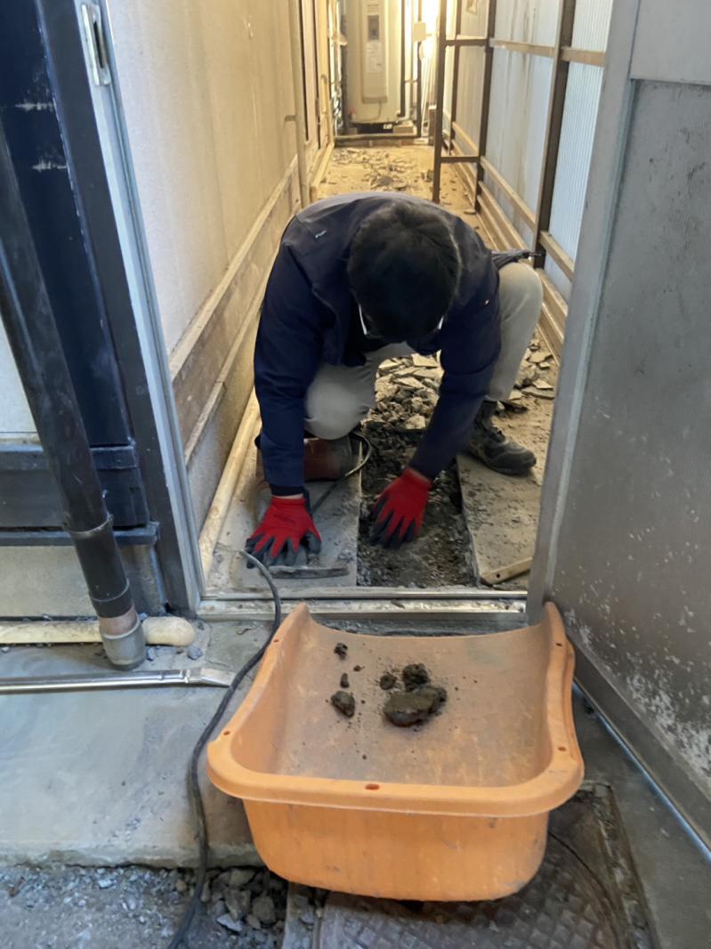 ���C���摜