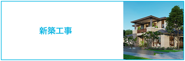 VzH