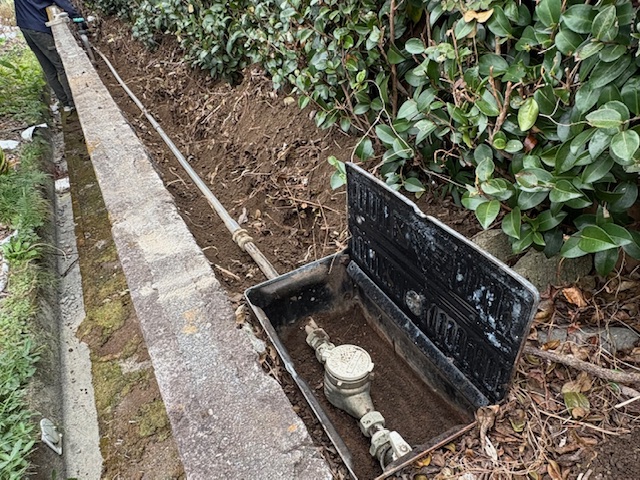 ���}�s�@�r�l�@�@�z�ǈ��������H��