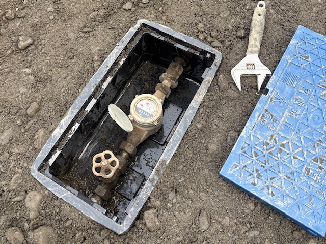 �É��s �j�l�@ �ʐ�����