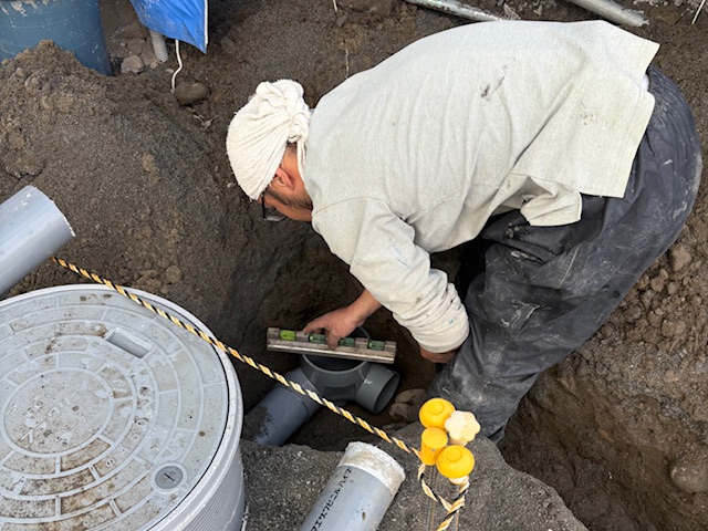 �q�V���s �x�l�@ �V�z�r��(���O�z��)