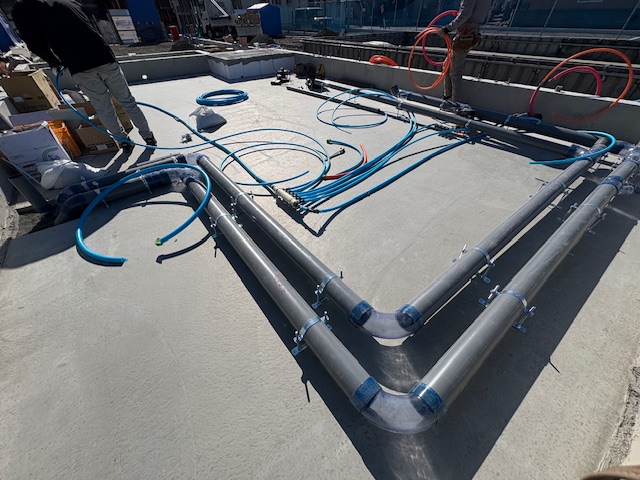 �ĒÎs �V�z���r��(�v���z��)